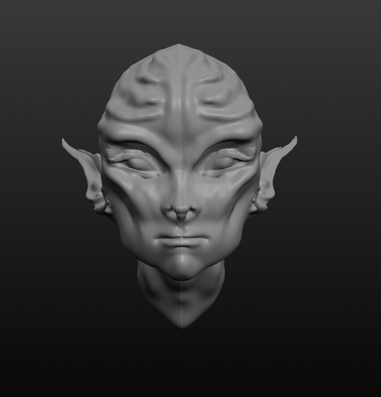Head modelling 2 front view.PNG
